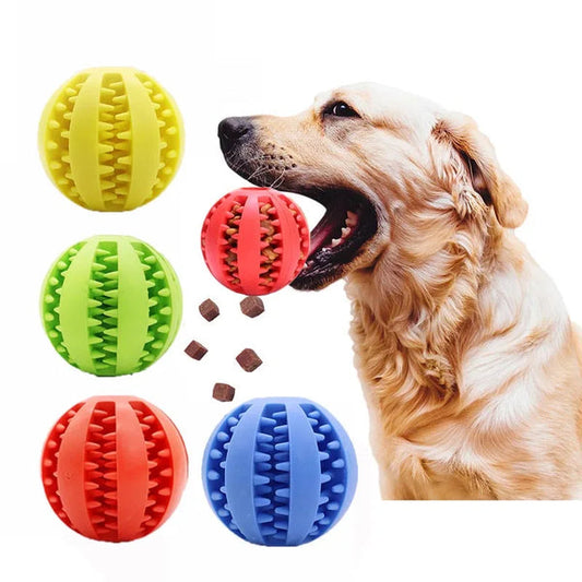 Hunde Leckerli Kauball