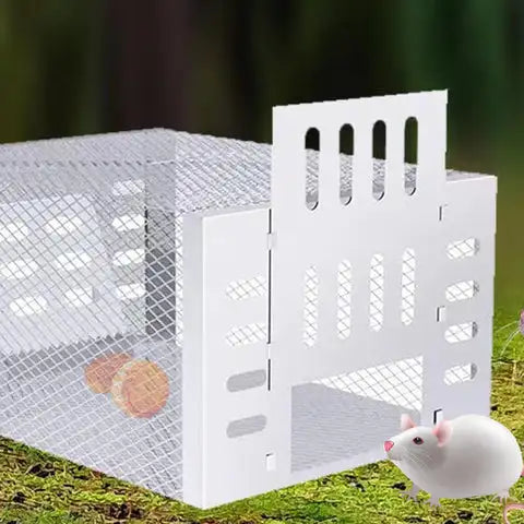 Tierfreundliche Mäusefalle