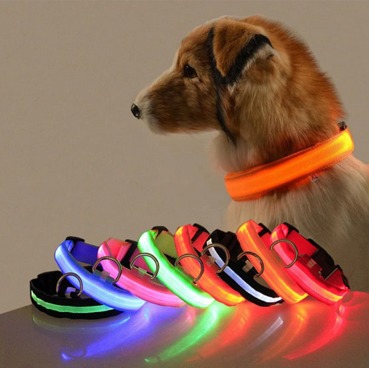 Hunde LED-Halsband