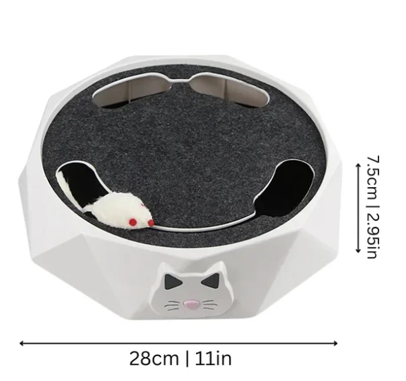 Mäuse Katzen Spielzeug