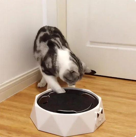 Mäuse Katzen Spielzeug