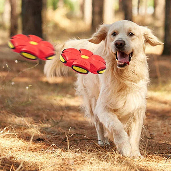 2-in-1 Hunde Spielball