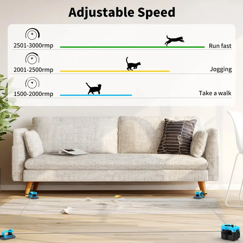 FlitzeMieze – Das interaktive Rennspielzeug für Katzen