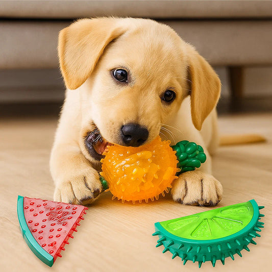 KühlKumpel- Kühlendes 3er Set Hundespielzeug gegen Hitze