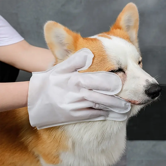 Fellpflege Handschuhe für Hunde und Katzen