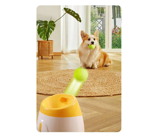 Automatische Hunde Ballwurf Maschine