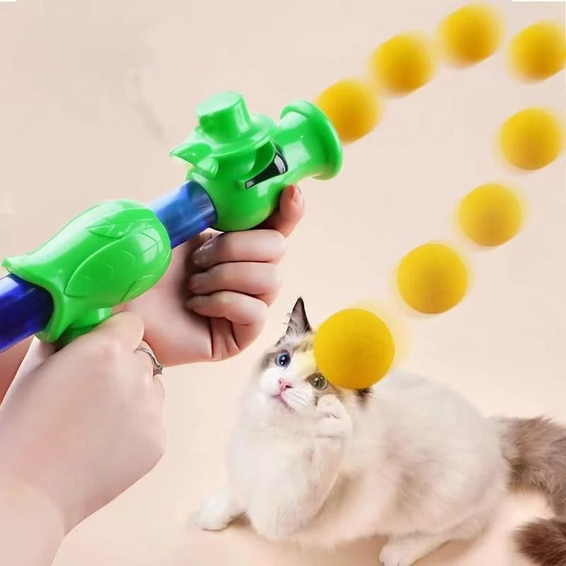 Katzen Ball Kanone