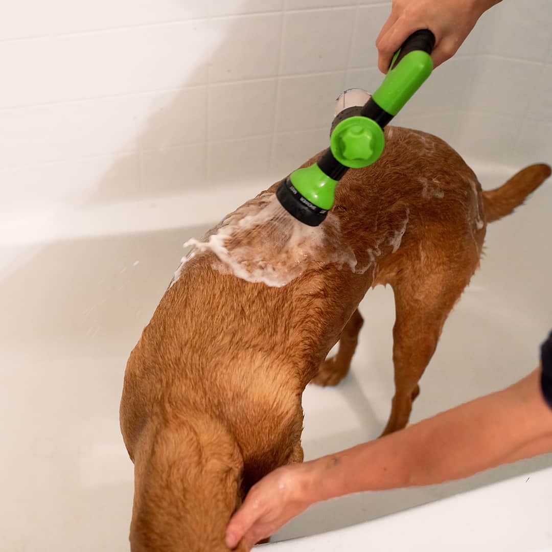 Hunde Outdoor Duschkopf