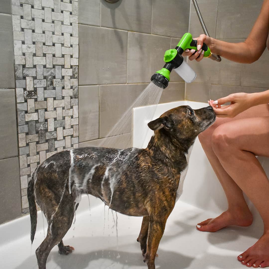 Hunde Outdoor Duschkopf