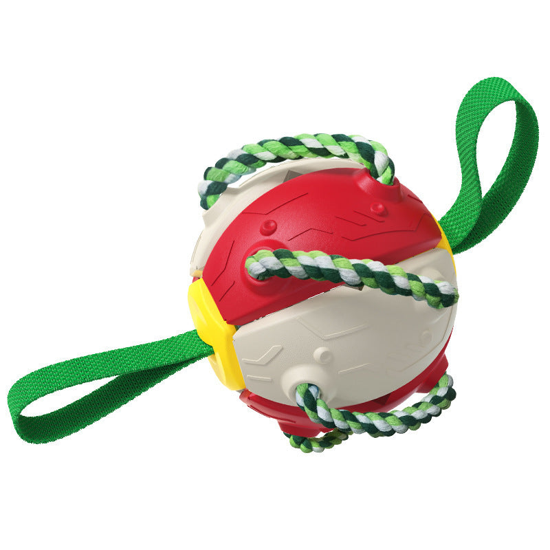 Interaktiver Flugscheibenball