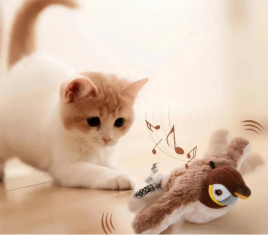 Interaktives Vogel Spielzeug für Katzen