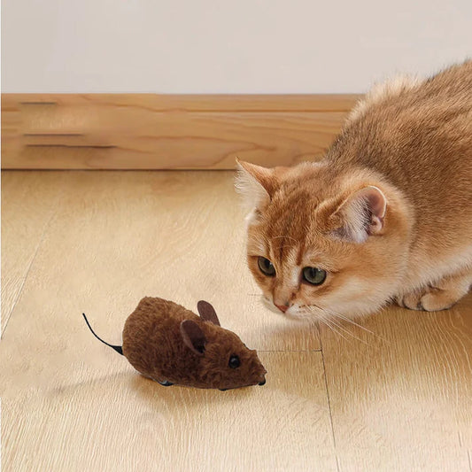 Interaktives Mäuse Spielzeug für Katzen